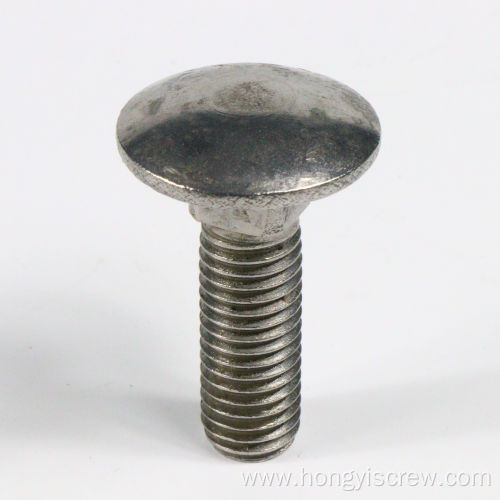 Carriage Bolt Full Threaded Stainless Steel Plain